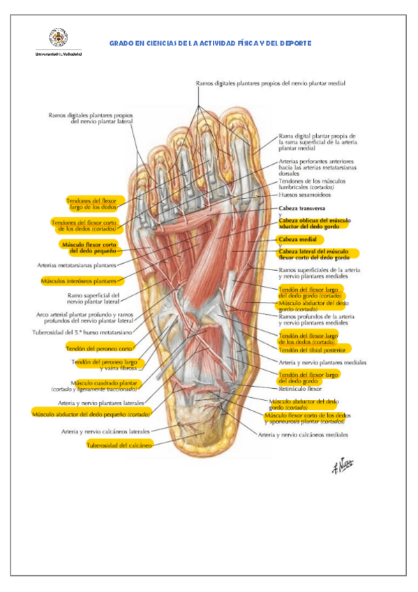 Miniatura del documento Soluciones-practicas-6.pdf