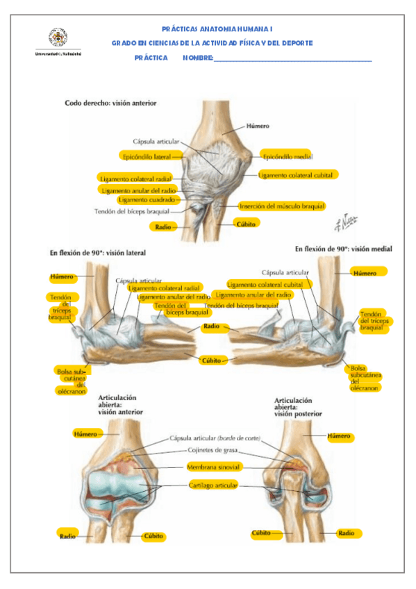 Miniatura del documento Soluciones-practicas-8.pdf