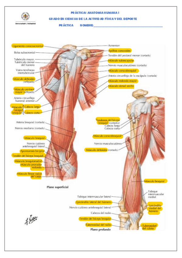 Miniatura del documento Soluciones-practicas-9.pdf