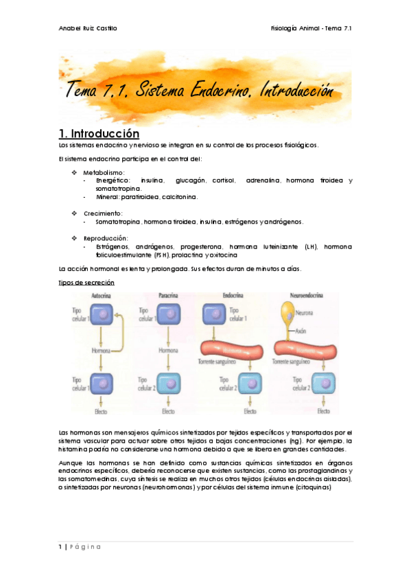Miniatura del documento Apuntes-T71-Introduccion.pdf