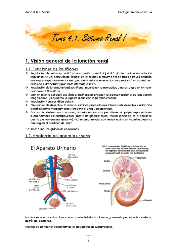 Miniatura del documento Apuntes-T4.pdf