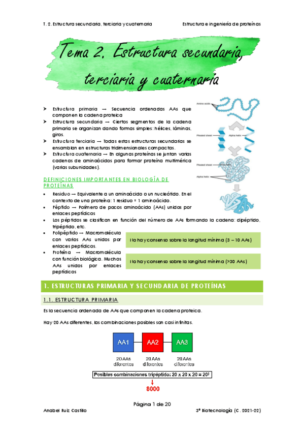 Miniatura del documento T2-Estructura-secundaria-terciaria-y-cuaternaria.pdf