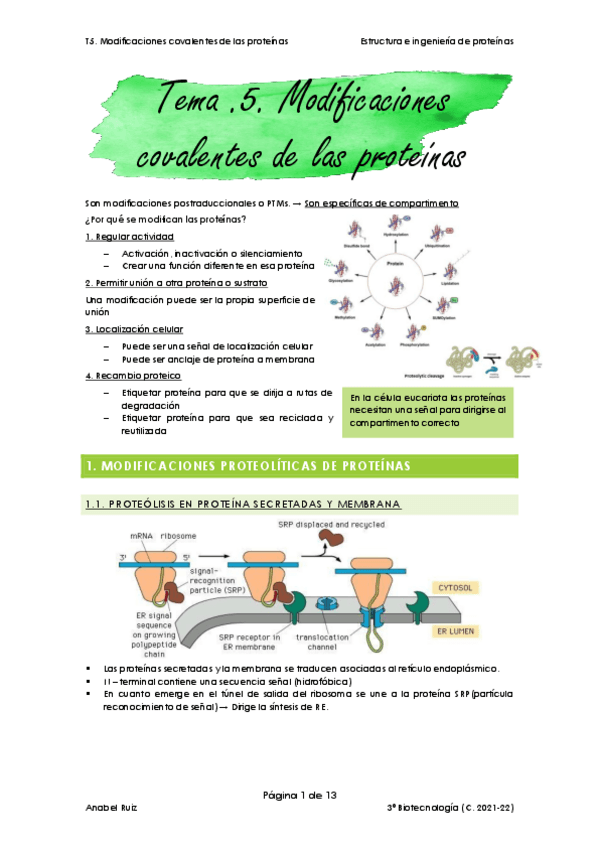 Miniatura del documento T5-Modificaciones-covalentes-de-las-proteinas.pdf