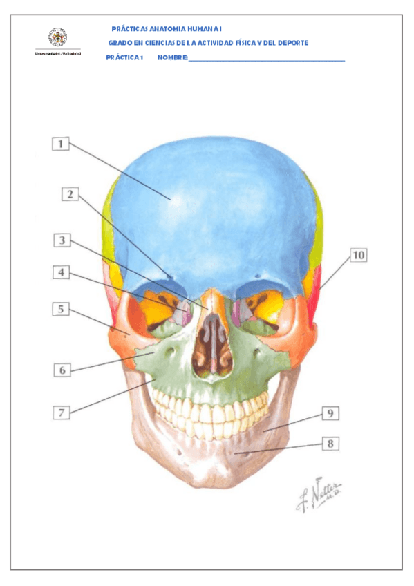Miniatura del documento Practica-1.pdf