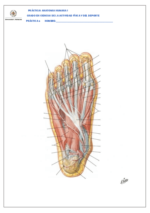 Miniatura del documento Practica-6.pdf