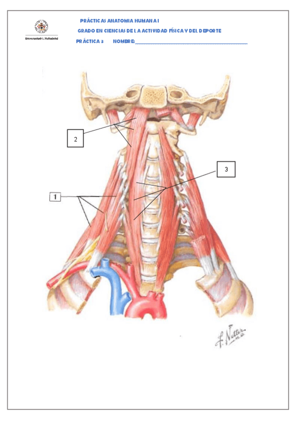 Miniatura del documento Practica-3.pdf