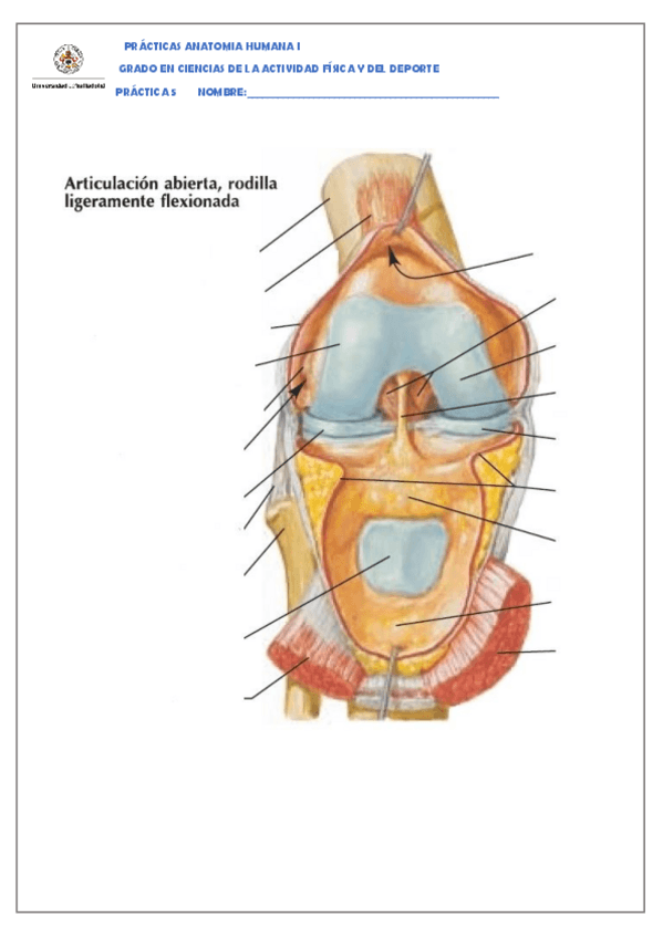 Miniatura del documento Practica-5.pdf