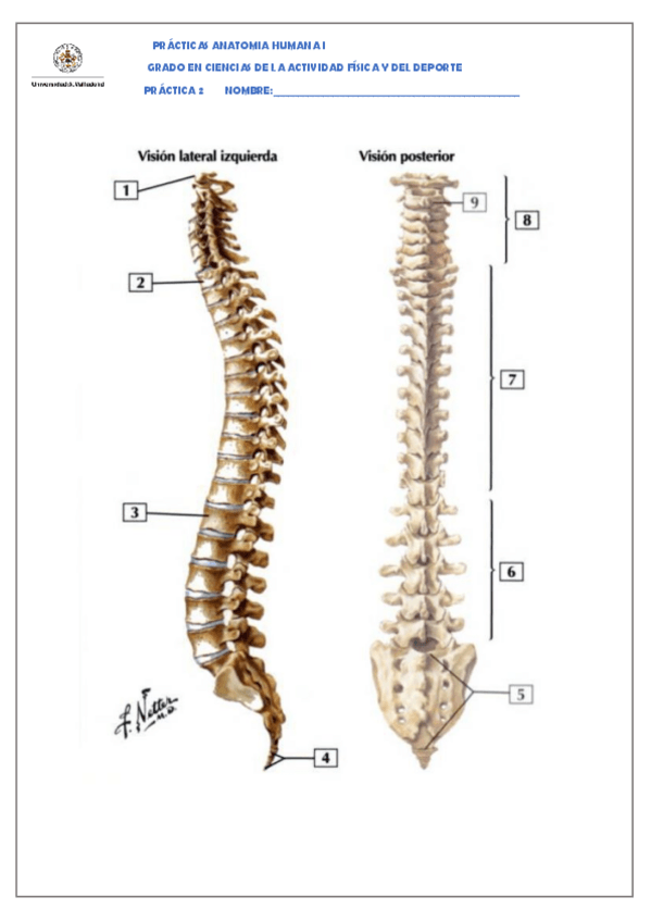 Miniatura del documento Practica-2.pdf