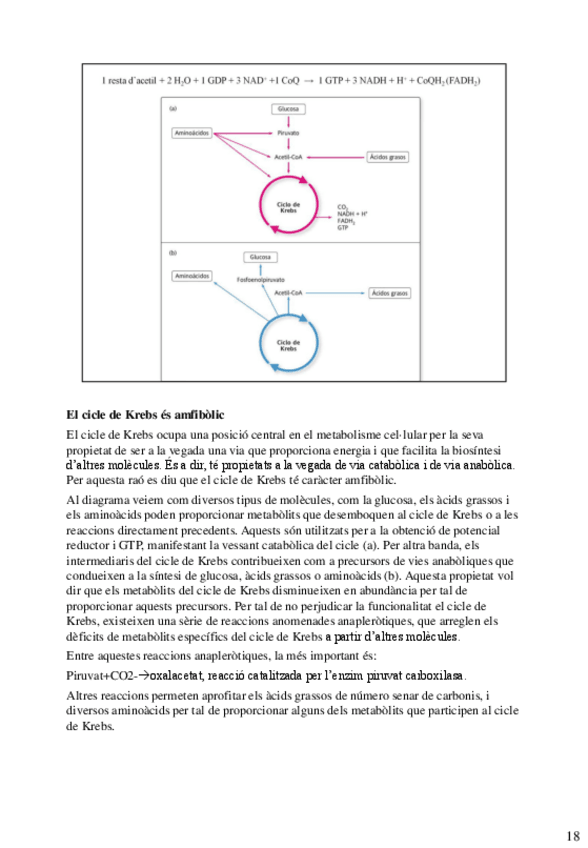 Miniatura del documento final-bioquimica-38-42.pdf