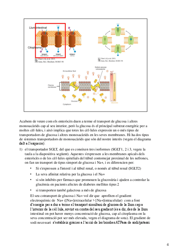 Miniatura del documento final-bioquimica-18-22.pdf