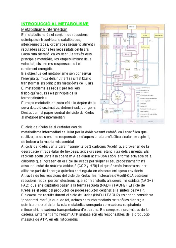 Miniatura del documento final-bioquimica-1-5.pdf