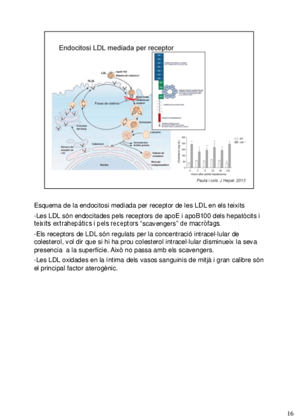 Miniatura del documento final-bioquimica-76-81.pdf
