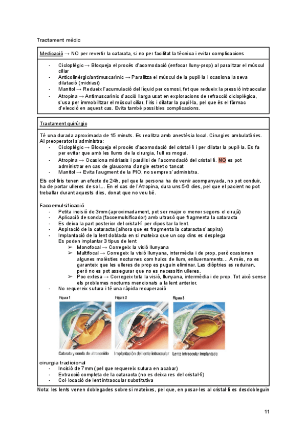 Miniatura del documento XV-A-11-12.pdf