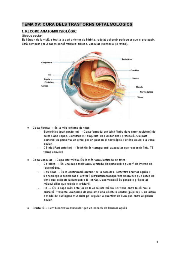 Miniatura del documento XV-A-1-2.pdf