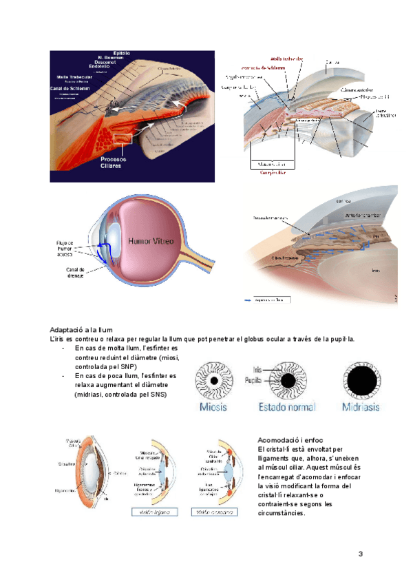 Miniatura del documento XV-A-3-4.pdf