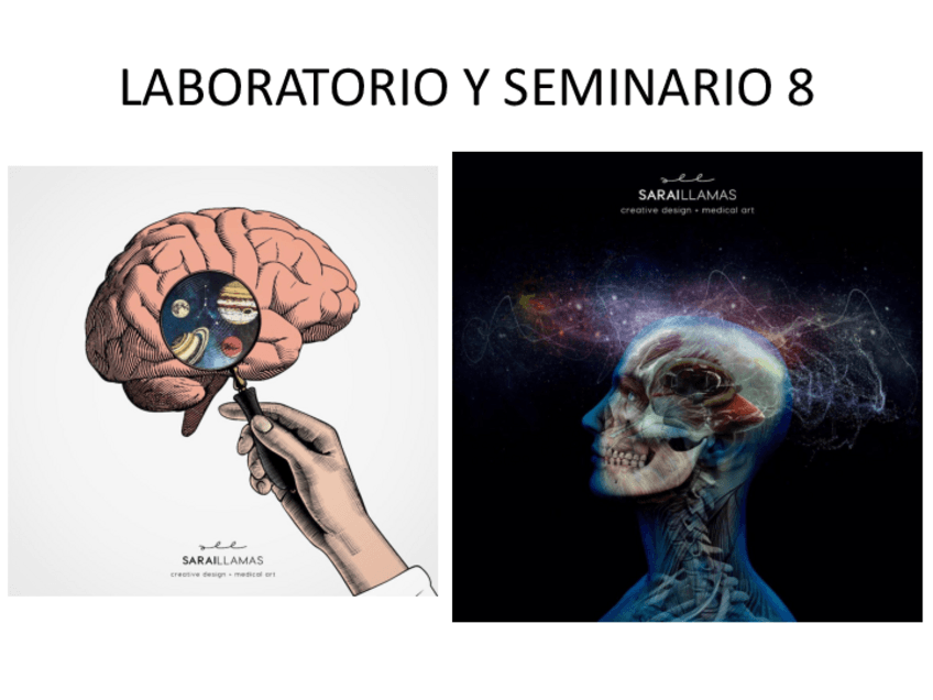 Miniatura del documento Contenido-laboratorio-y-seminario-3-12-20.pdf