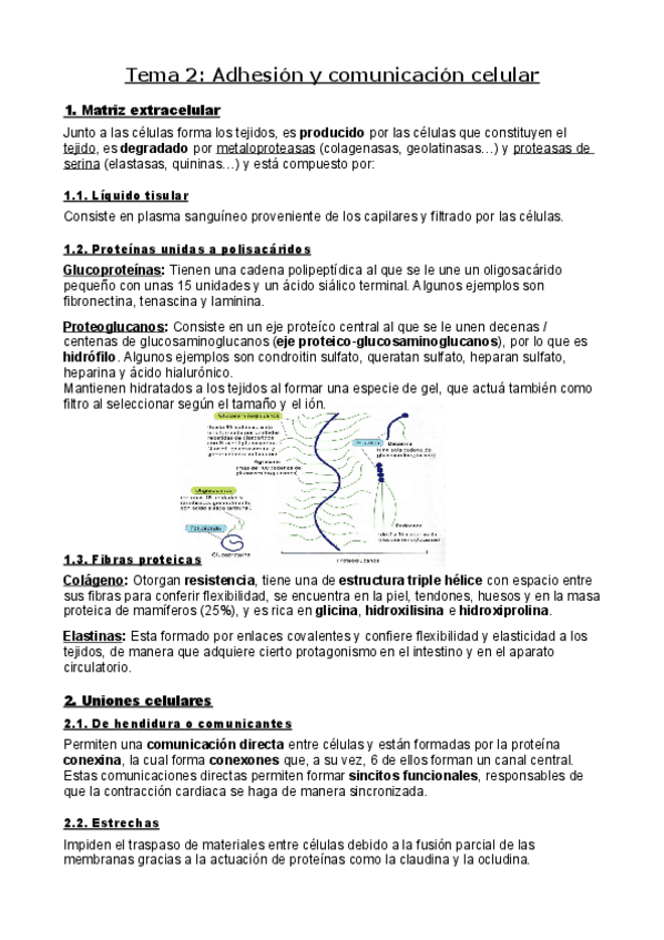 Miniatura del documento Bases-celulares.pdf