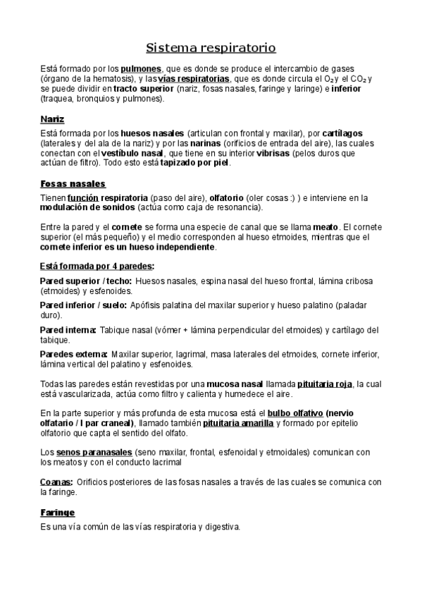 Miniatura del documento Sistema-respiratorio.pdf