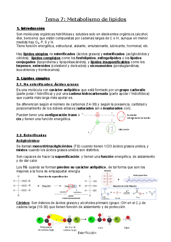Miniatura del documento Fisiologia-enfermeria.pdf