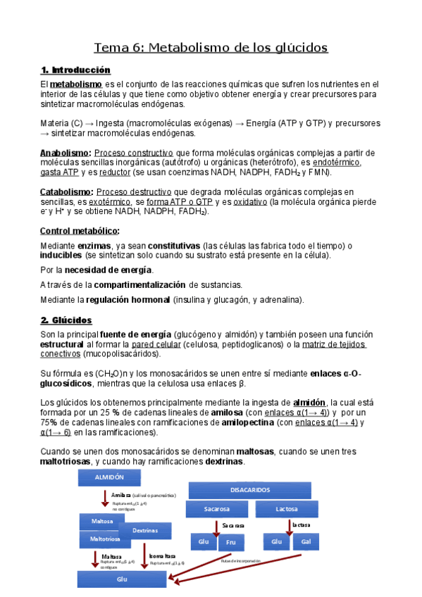 Miniatura del documento Fisiologia-enfermeria.pdf