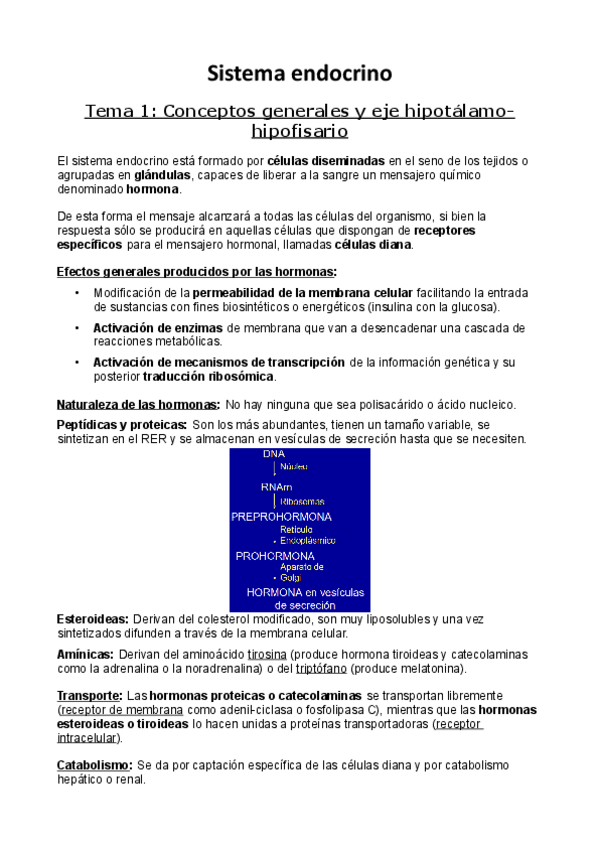 Miniatura del documento Sistema-endocrino.pdf