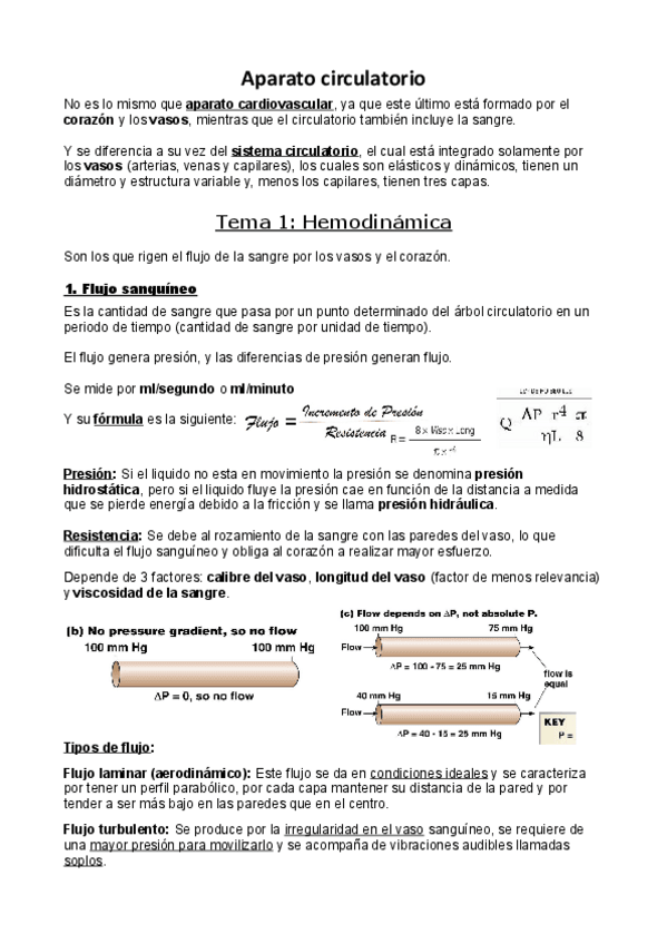 Miniatura del documento Sistema-circulatorio.pdf