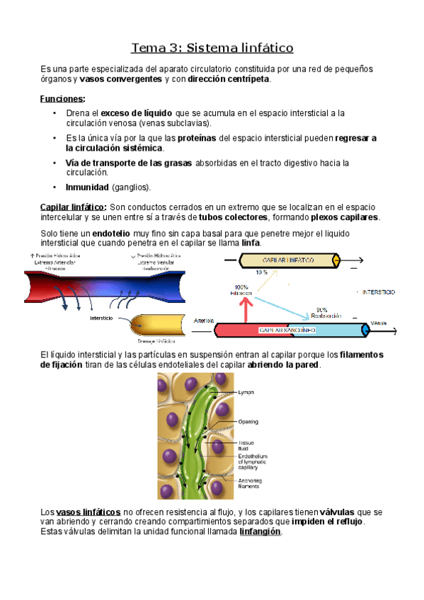 Miniatura del documento Sistema-linfatico.pdf