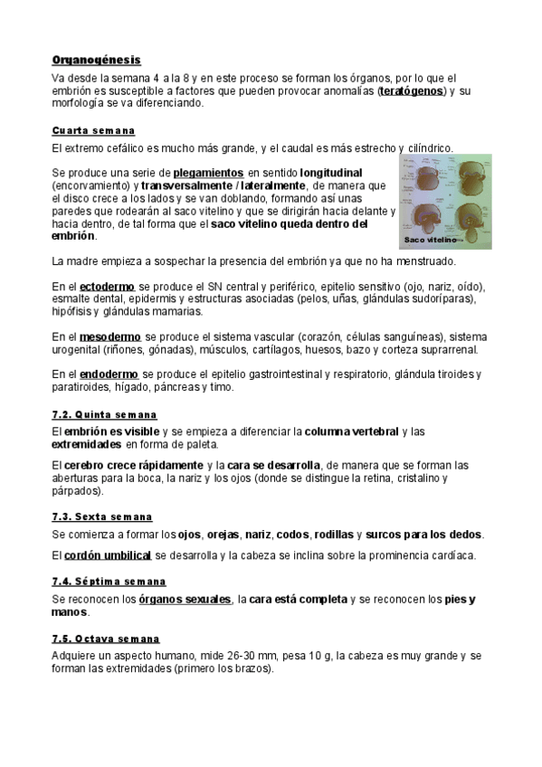 Miniatura del documento Embriologia.pdf