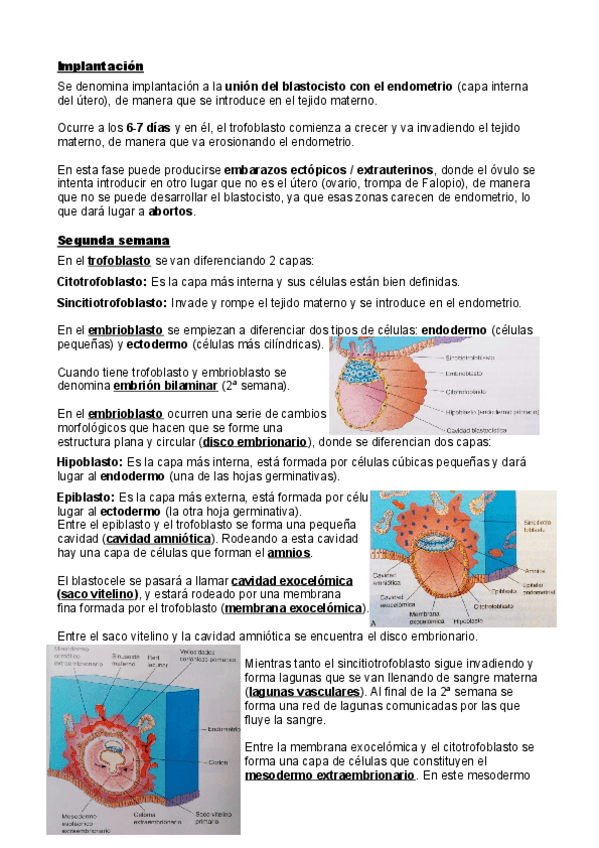 Miniatura del documento Embriologia.pdf