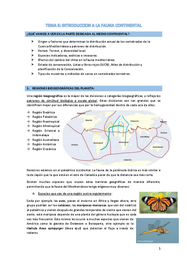 Miniatura del documento TEMA-5.pdf
