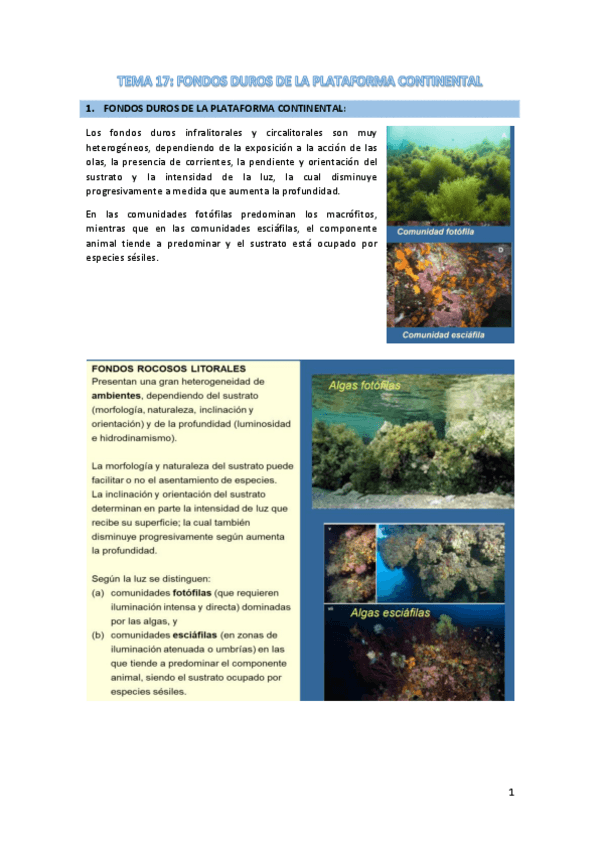 Miniatura del documento TEMA-17-fondos-duros.pdf