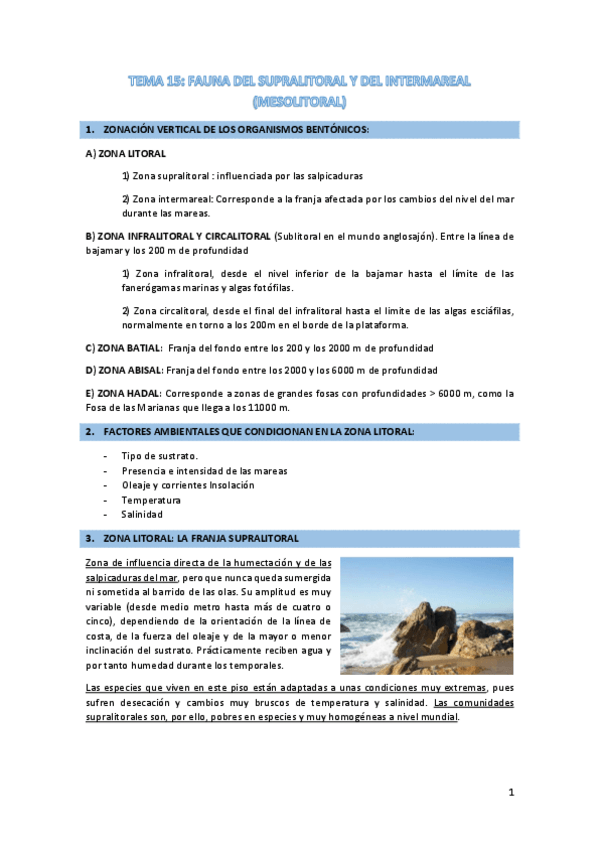 Miniatura del documento TEMA-15-fauna-del-supra-e-intermareal.pdf