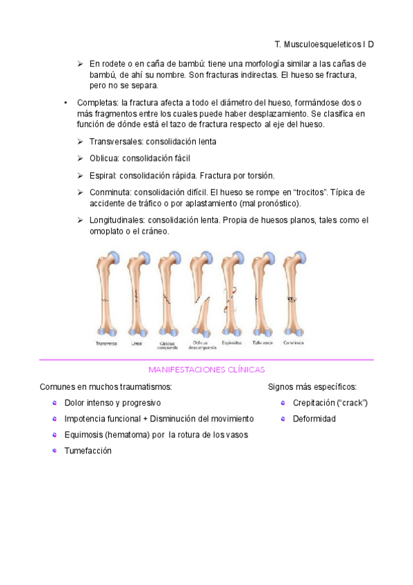 Miniatura del documento traumatologia-i-reumato-10-14.pdf