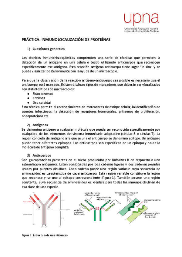 Miniatura del documento ProtocoloeICQ.pdf