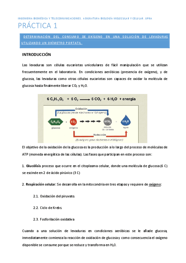 Miniatura del documento PRACTICA-1Consumo-de-oxigeno-por-levaduras-utilizando-oximetros-portatiles.pdf