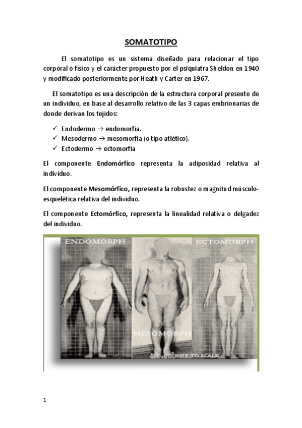 Miniatura del documento DIET.pdf