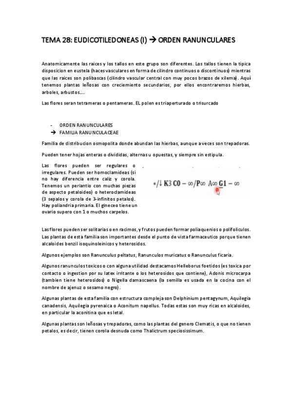 Miniatura del documento BOTANICA-FINAL-18.pdf