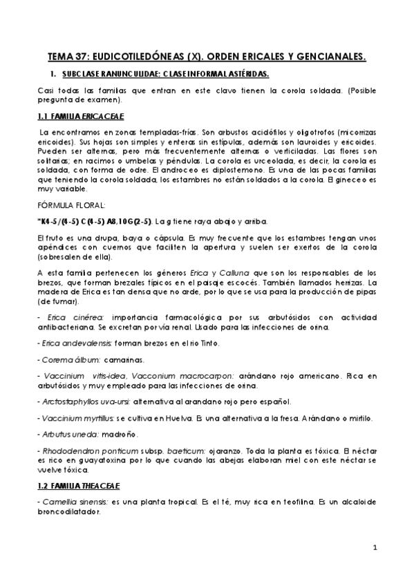 Miniatura del documento BOTANICA-FINAL-26.pdf