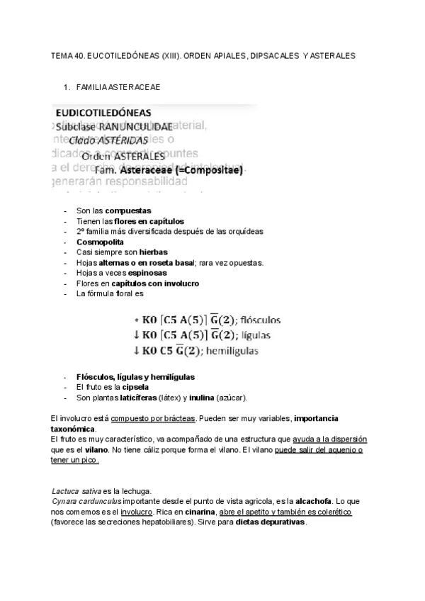Miniatura del documento BOTANICA-FINAL-27.pdf
