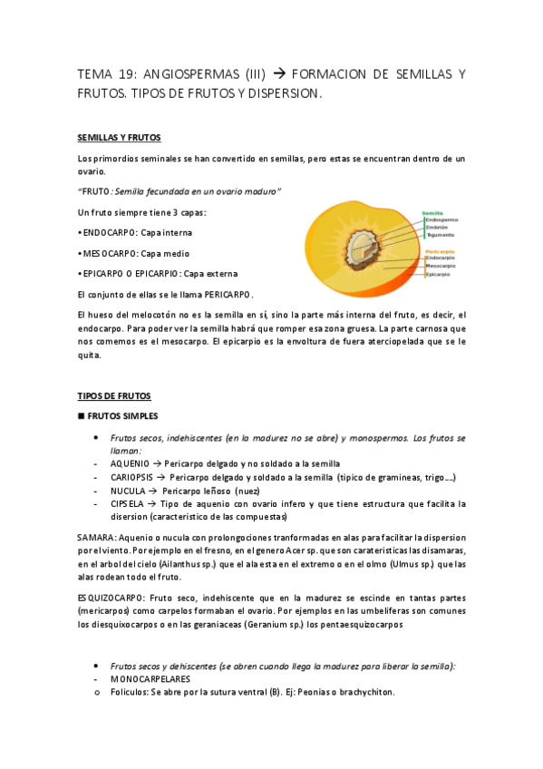 Miniatura del documento BOTANICA-FINAL9.pdf
