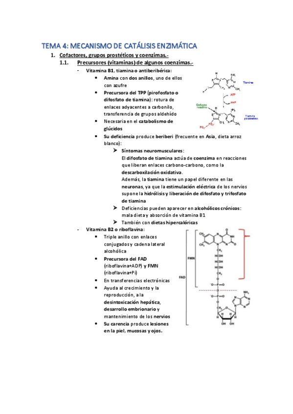 Miniatura del documento Tema-4-apuntes.pdf