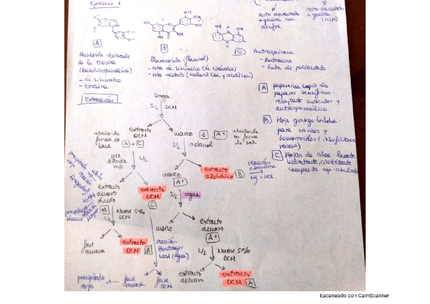 Miniatura del documento ejercicios-resueltos-farmacognosia.pdf