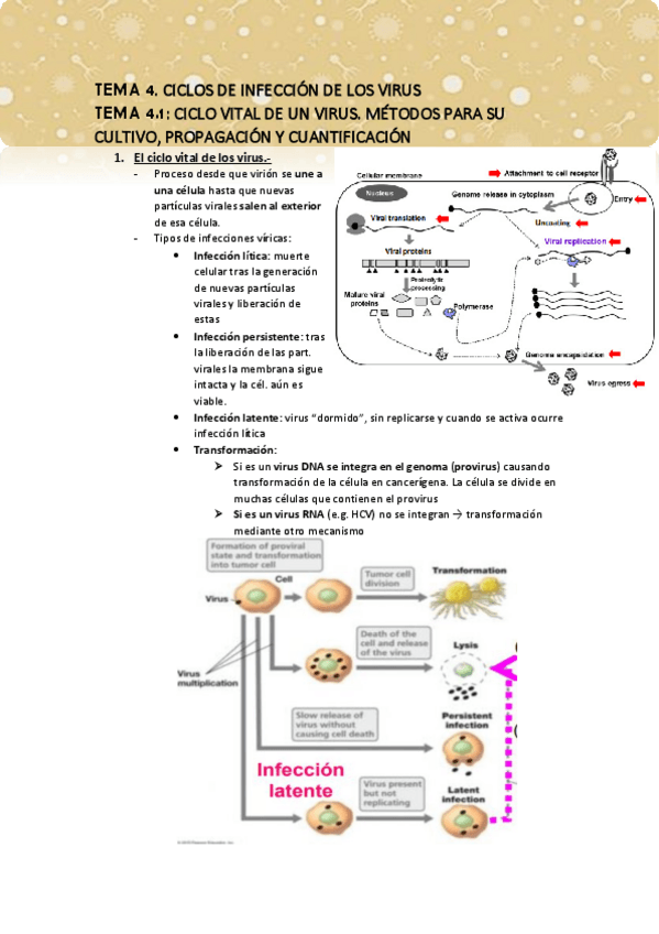 Miniatura del documento Tema-4.pdf