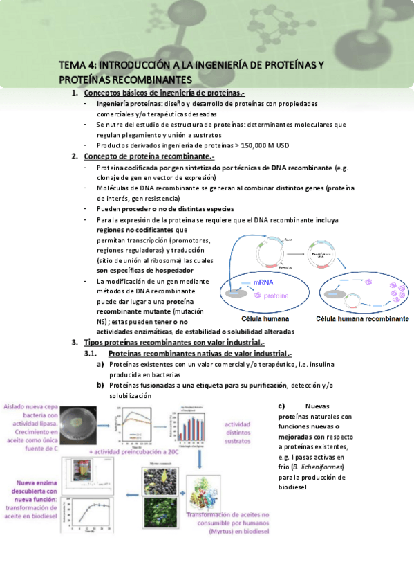 Miniatura del documento Tema-4-apuntes.pdf