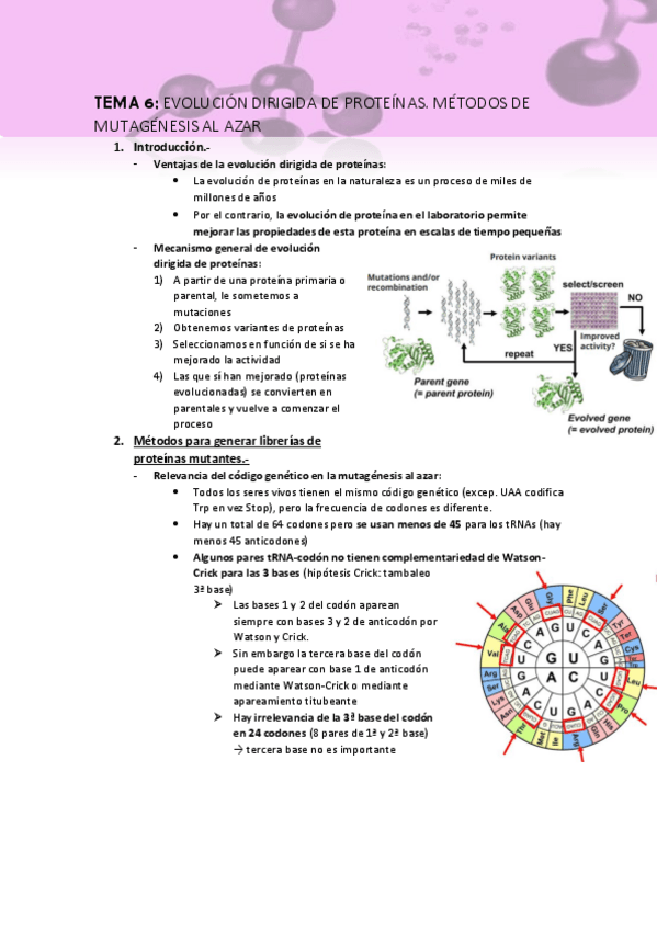 Miniatura del documento Tema-6-apuntes.pdf