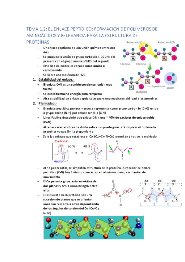 Miniatura del documento Tema-1.pdf