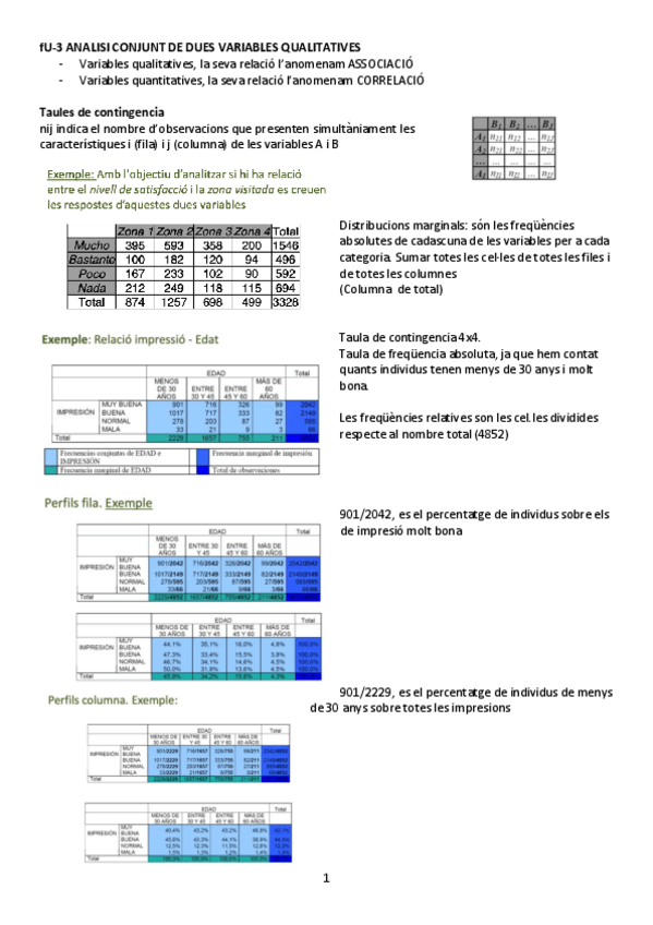 Miniatura del documento U-3-Analisi-conjunt-de-dues-variables-qualitatives.pdf