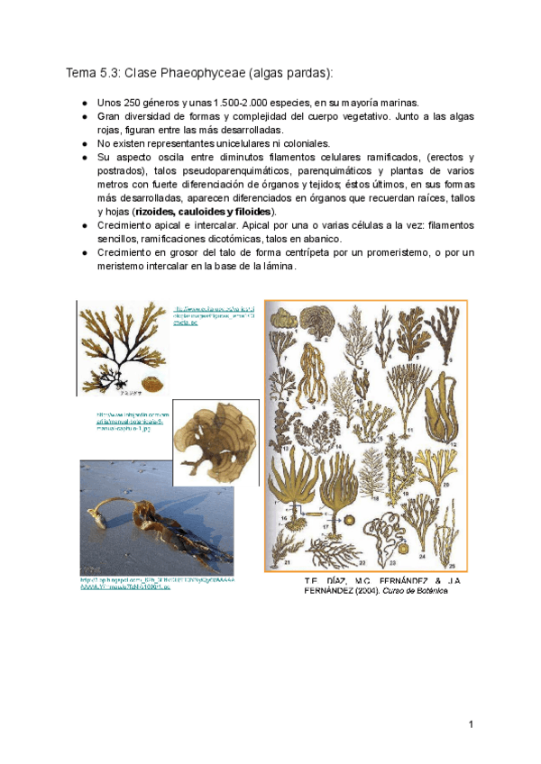 Miniatura del documento 5.pdf