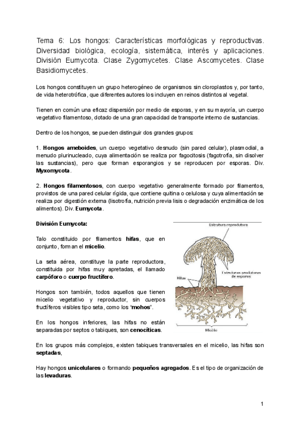 Miniatura del documento 6.pdf