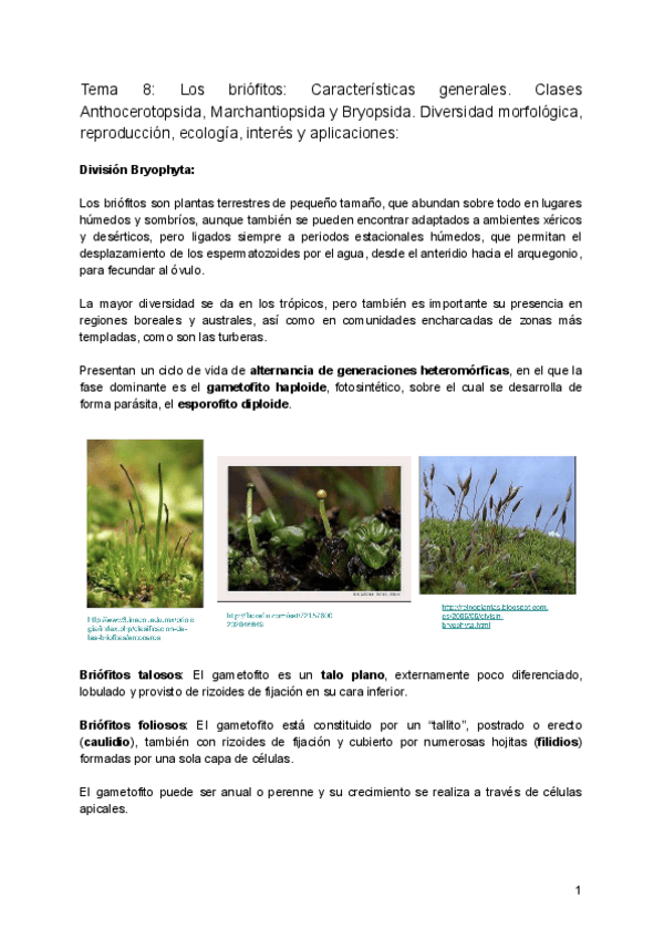 Miniatura del documento 8.pdf